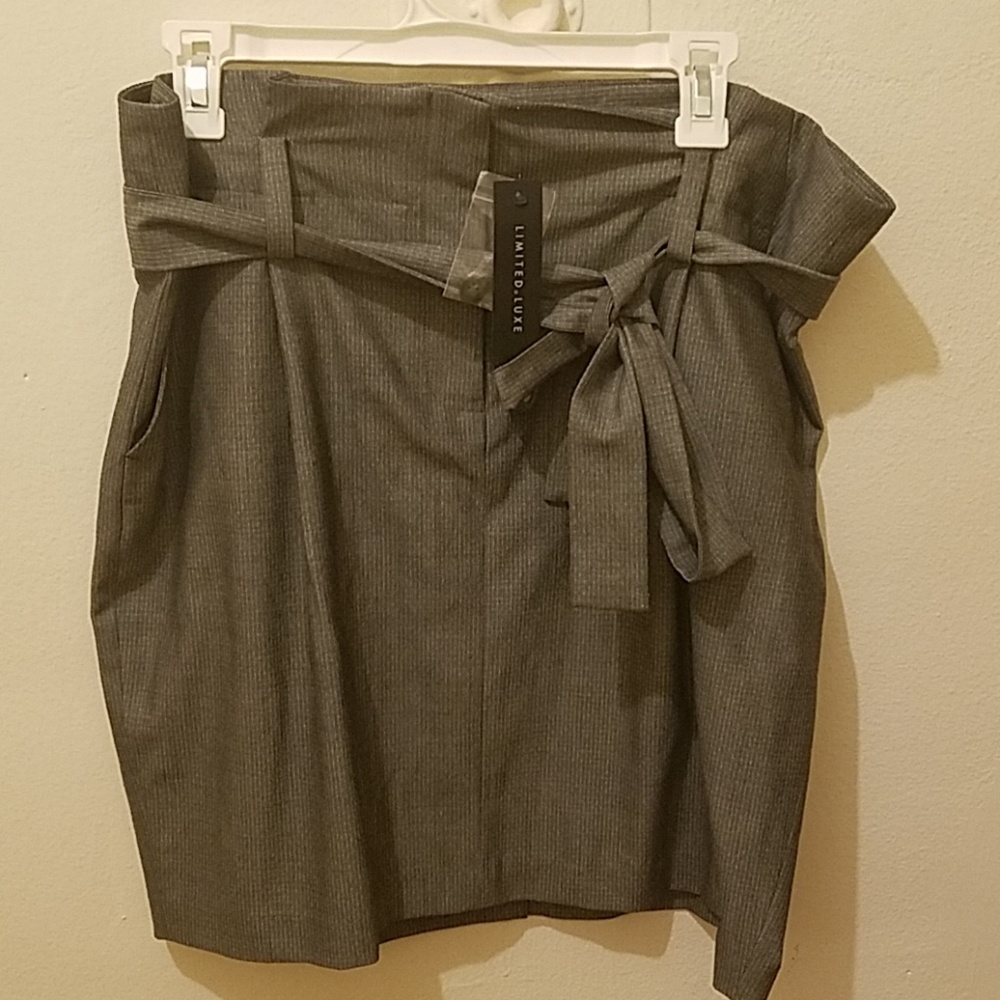 NWT Skirt from The Limited (with belt and pockets)